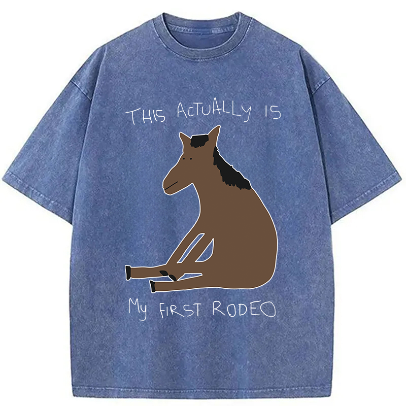 Modecanvas This Actually is My First Rodeo Washed T-Shirt