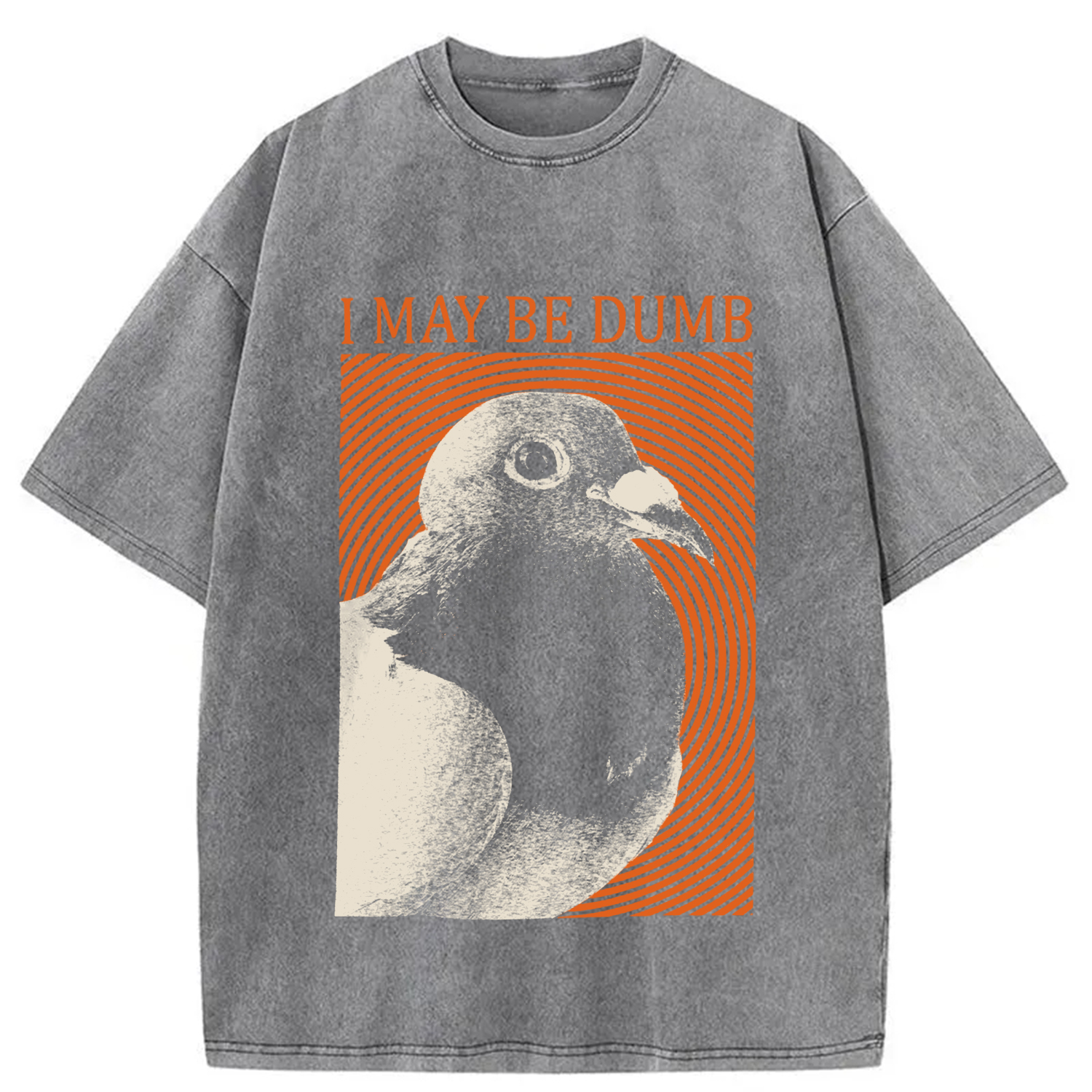 Modecanvas I May Be Dumb Washed T-Shirt-modecanvas
