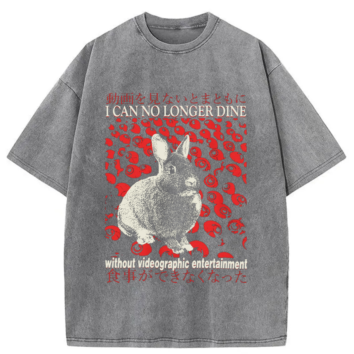 Modecanvas I Can No Longer Dine without Videographic Entertainment Washed T-Shirt-modecanvas
