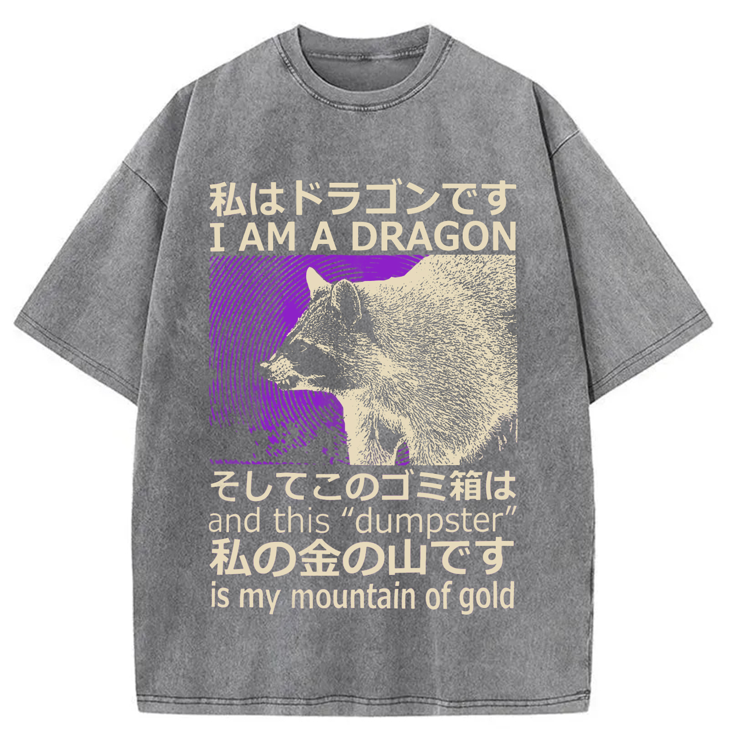 Modecanvas I Am A Dragon and this "Dumpster" is My Mountain of Gold DTG Printing Washed T-Shirt-modecanvas