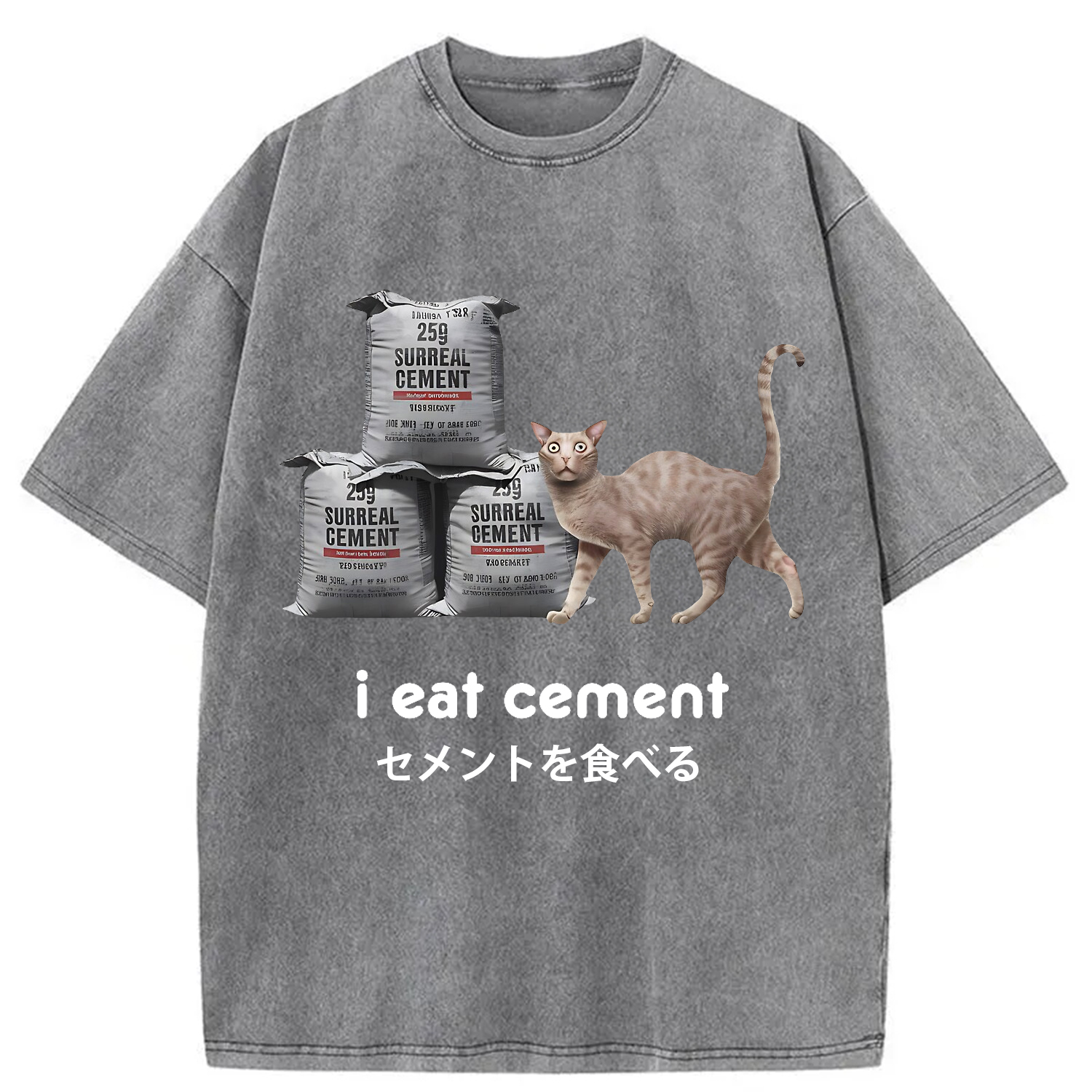 Modecanvas I Eat Cement Cursed Cat Washed T-Shirt