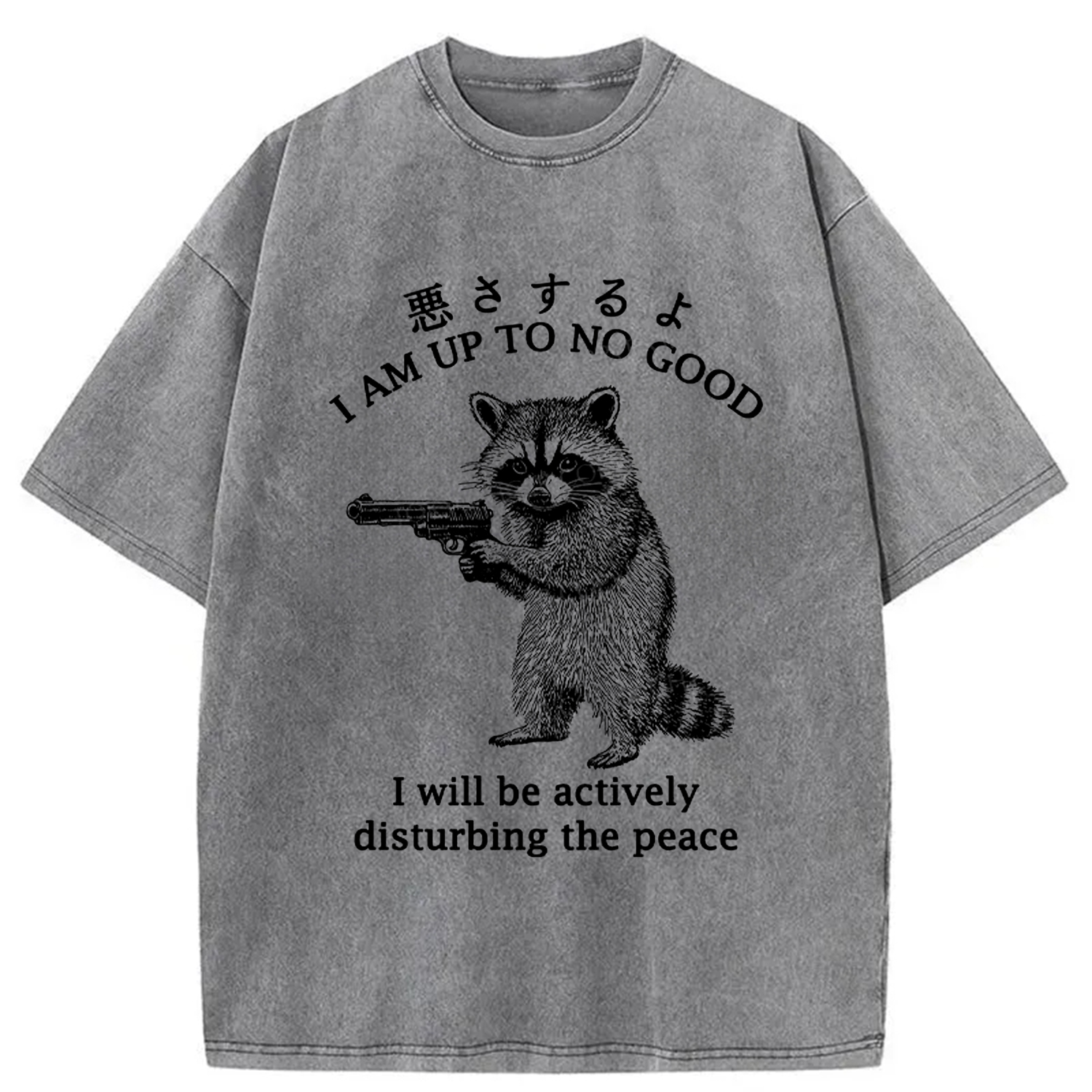 Modecanvas Raccoon Disturbing The Peace Washed T-Shirt