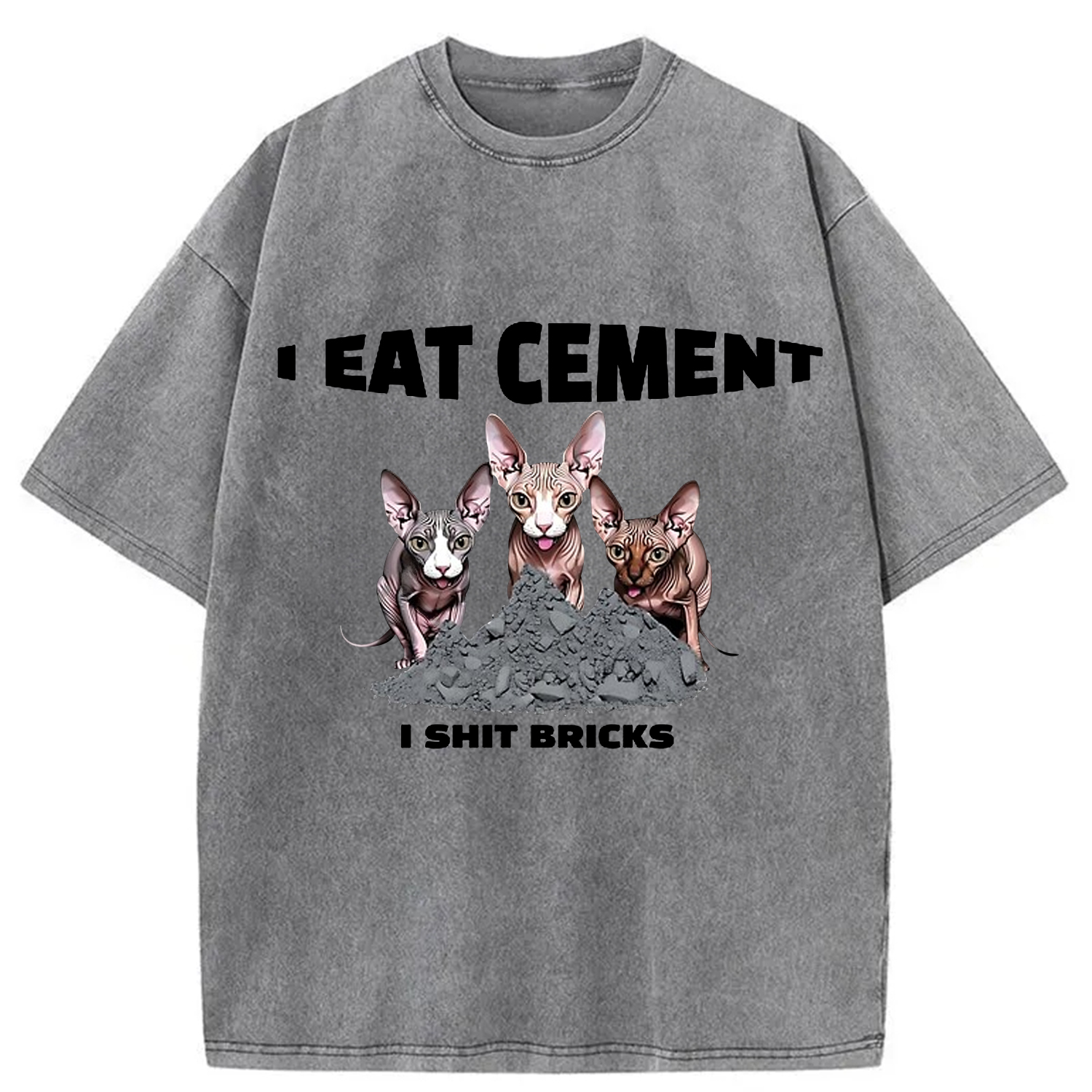Modecanvas I Eat Cement Cursed Cat Meme Washed T-Shirt