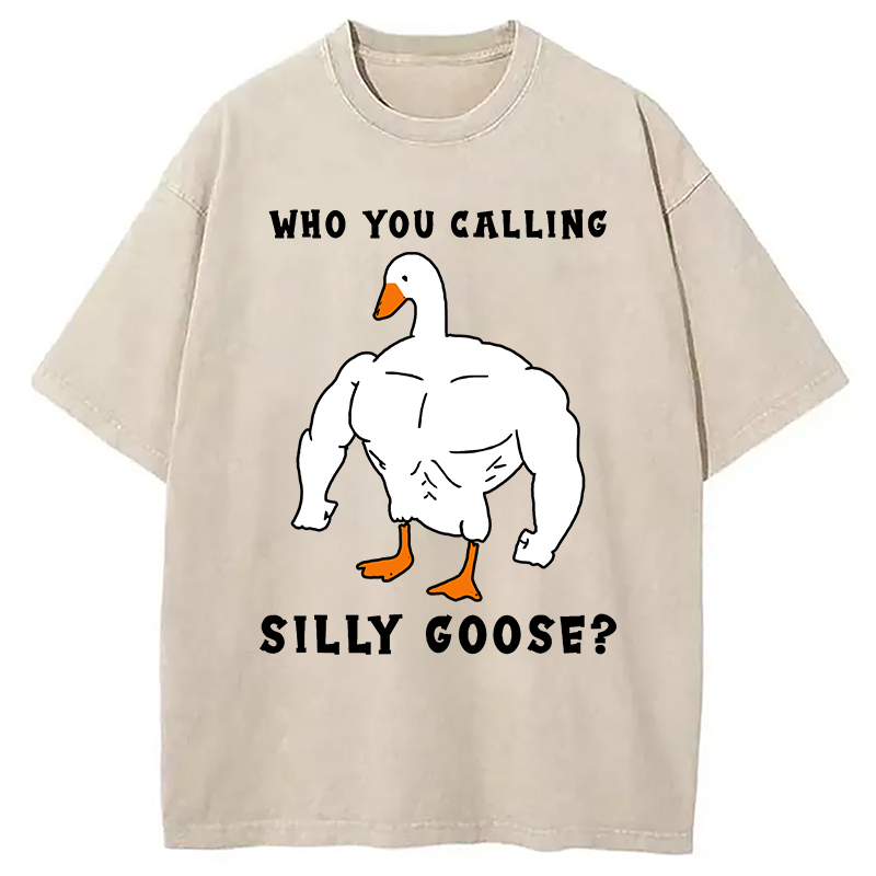 Modecanvas Who You Calling Silly Goose Funny Gym Meme Washed T-Shirt