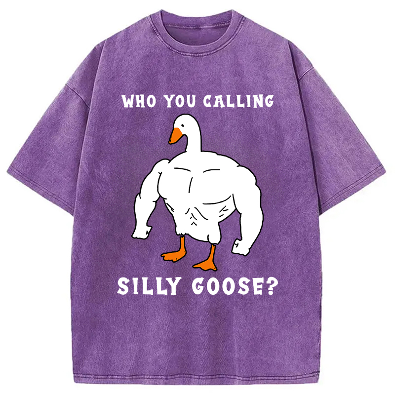Modecanvas Who You Calling Silly Goose Funny Gym Meme Washed T-Shirt
