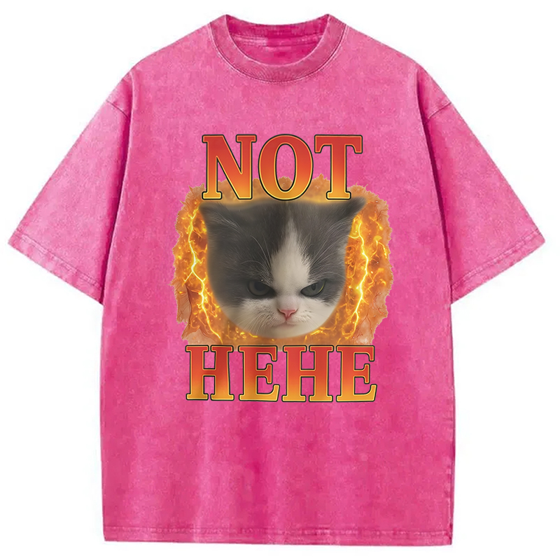 Modecanvas NOT HEHE Funny Cat Meme Washed T-Shirt