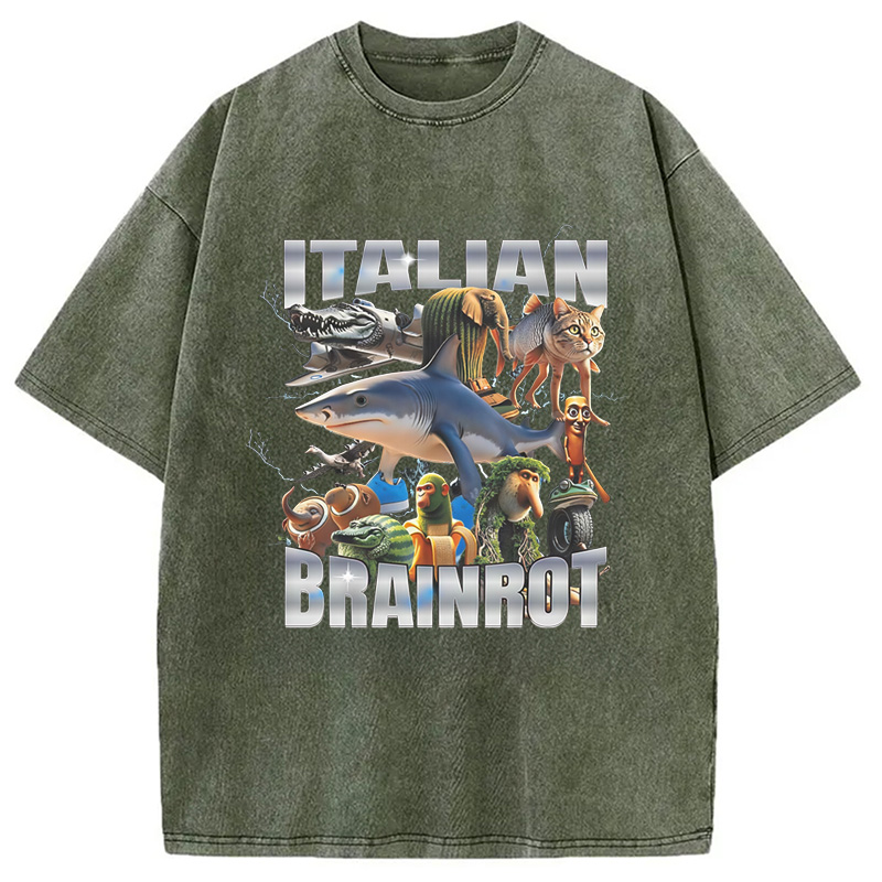 Modecanvas Italian Brainrot Washed T-Shirt
