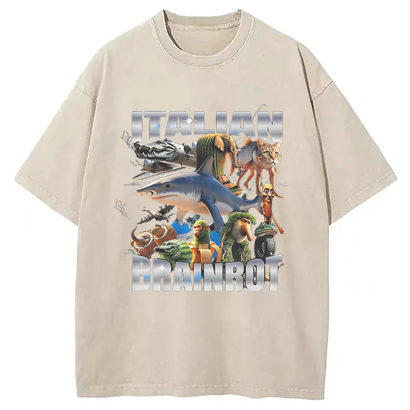 Modecanvas Italian Brainrot Washed T-Shirt