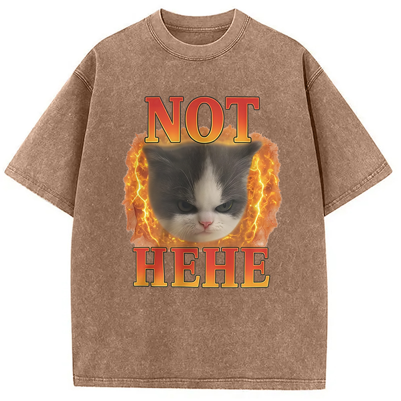 Modecanvas NOT HEHE Funny Cat Meme Washed T-Shirt