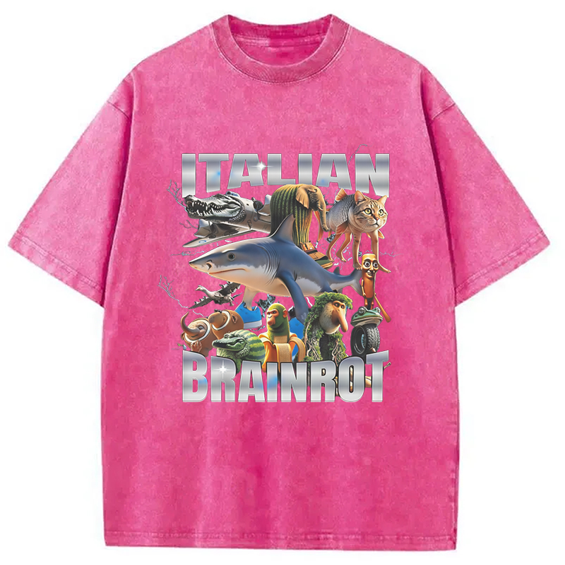 Modecanvas Italian Brainrot Washed T-Shirt
