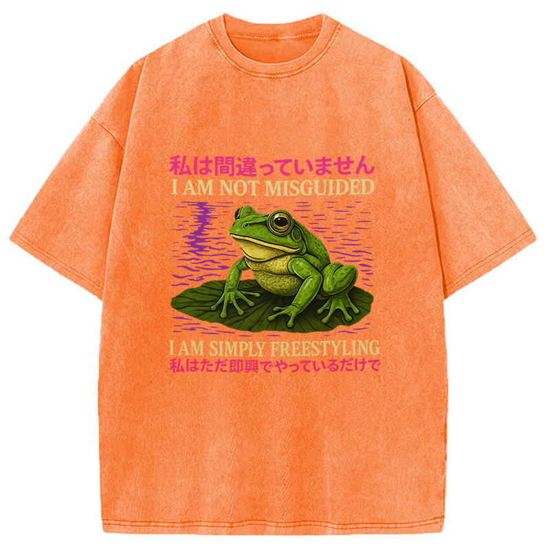 Modecanvas I Am Simply Freestyling Washed T-Shirt