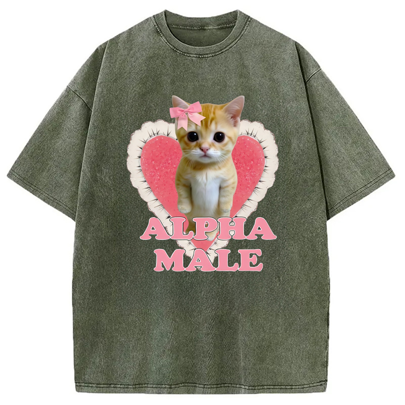 Modecanvas Alpha Male Kitten Washed T-Shirt