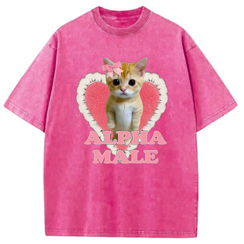 Modecanvas Alpha Male Kitten Washed T-Shirt