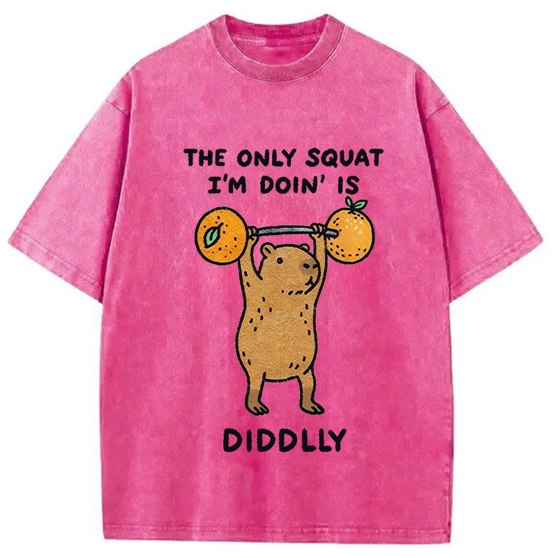 Modecanvas Diddly Capybara Washed T-Shirt