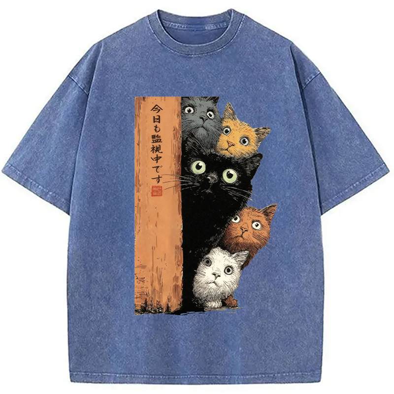 Modecanvas Cats Are Watching You Washed T-Shirt