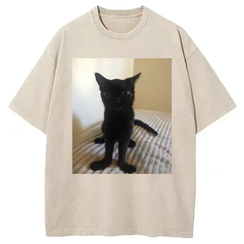 Modecanvas Big Foot Jinx Black Cat Washed T-Shirt