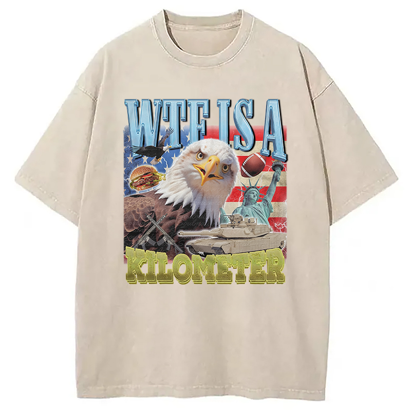 Modecanvas Funny Eagle Meme Washed T-Shirt-modecanvas
