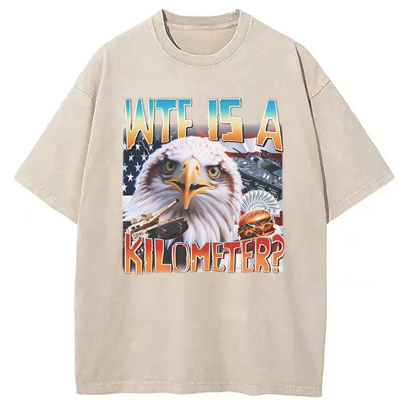 Modecanvas Funny America Freedom Eagle Meme Washed T-Shirt