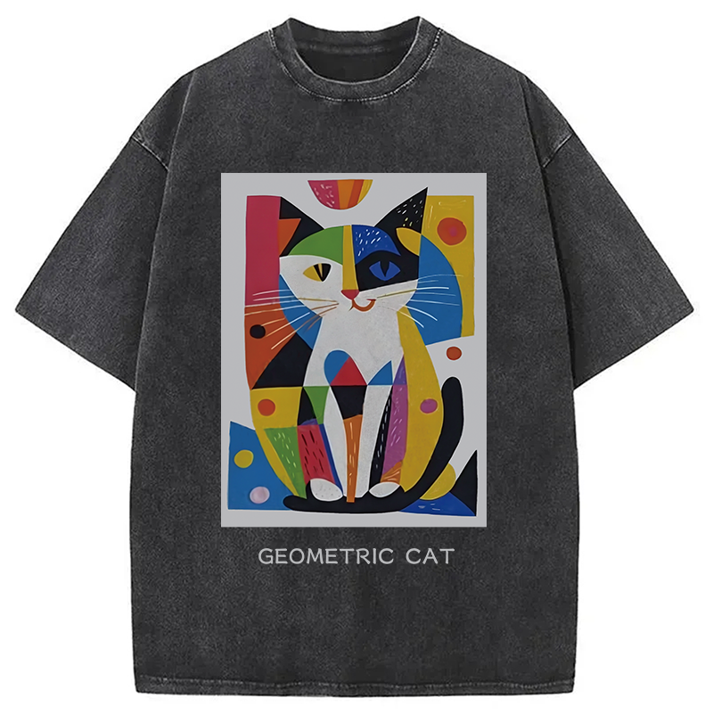 Modecanvas Vintage Picatso Cat Graffiti Washed T-Shirt