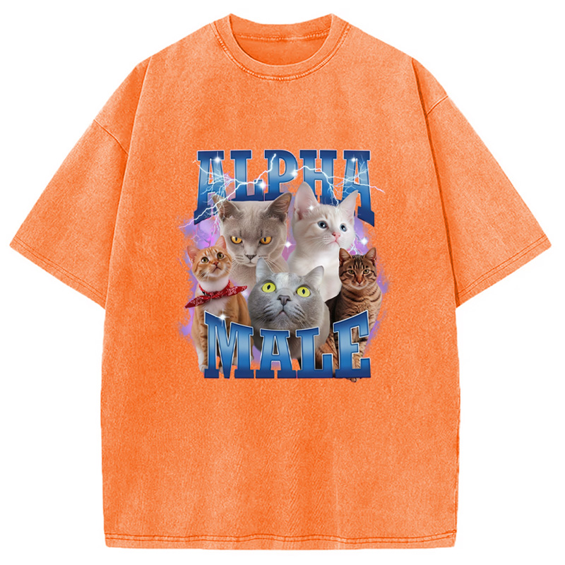 Modecanvas Blue Lightning Alpha Male Washed T-Shirt-modecanvas