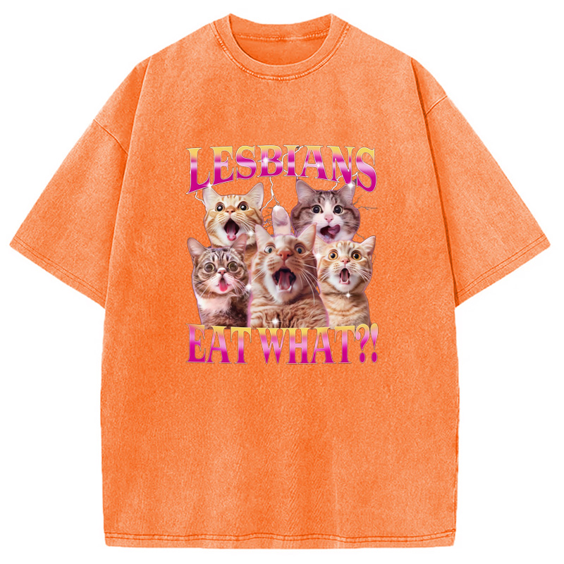 Modecanvas Funny Lesbian Cat Washed T-Shirt