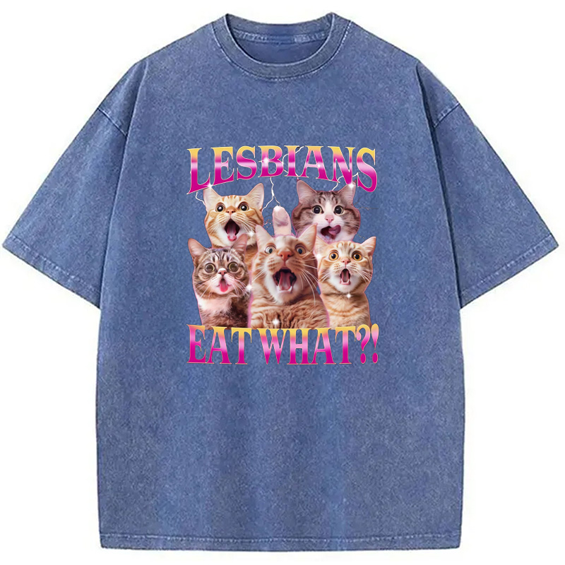 Modecanvas Funny Lesbian Cat Washed T-Shirt