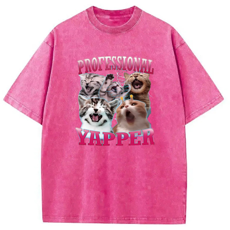 Modecanvas Professional Yapper Cat Washed T-Shirt