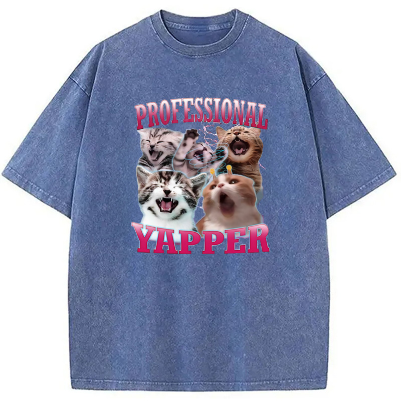 Modecanvas Professional Yapper Cat Washed T-Shirt