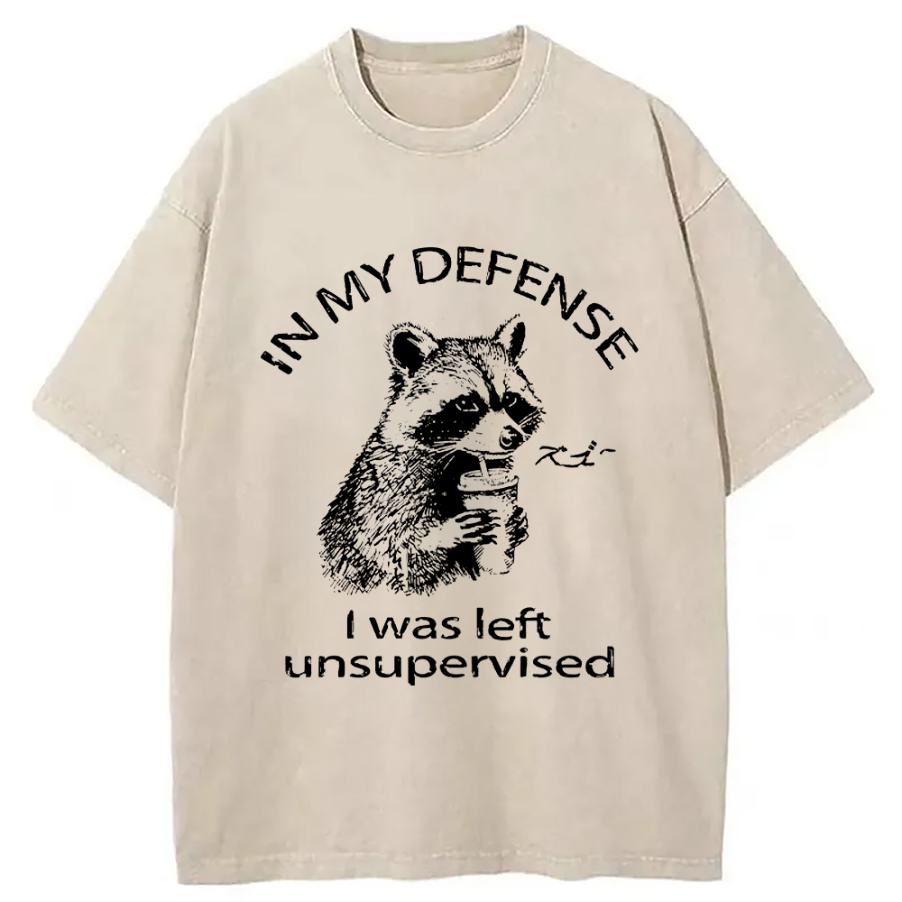 Modecanvas Left Unsupervised Raccoon Washed T-Shirt