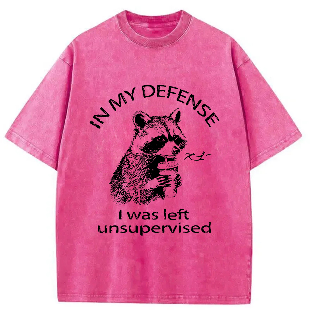 Modecanvas Left Unsupervised Raccoon Washed T-Shirt