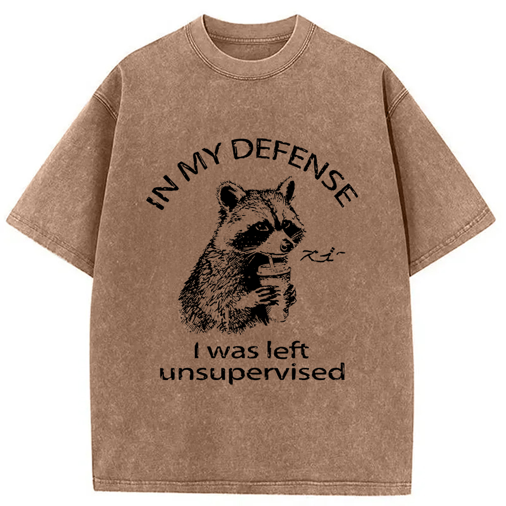 Modecanvas Left Unsupervised Raccoon Washed T-Shirt