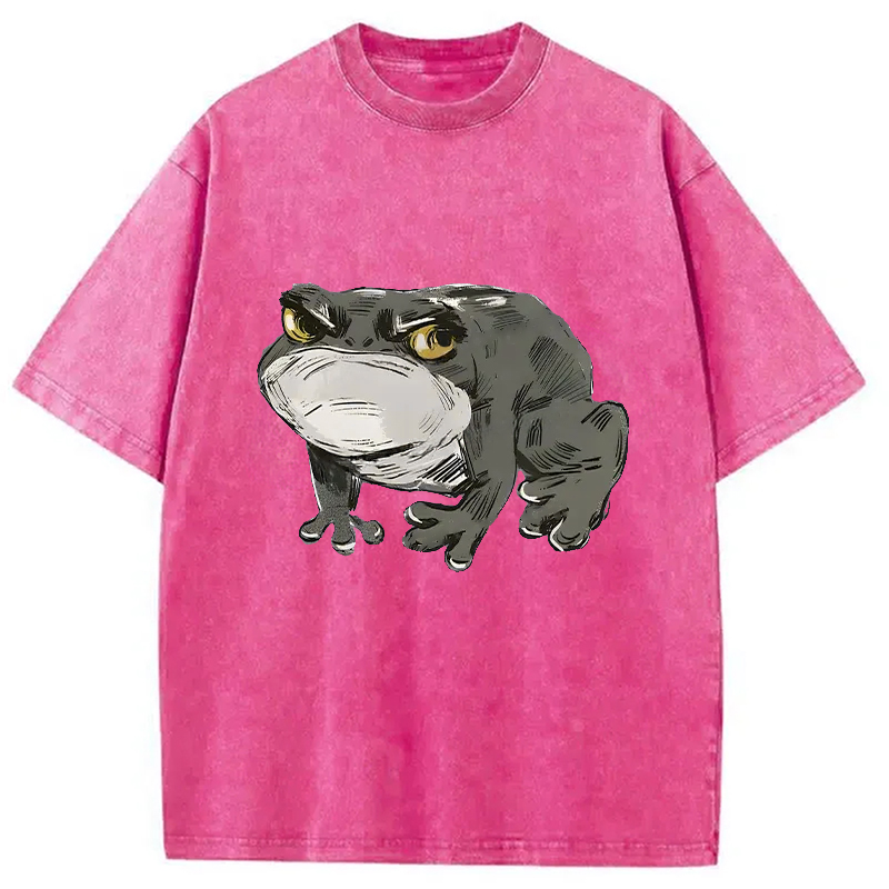 Modecanvas Japanese Frog Retro Washed T-Shirt