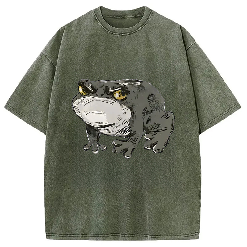 Modecanvas Japanese Frog Retro Washed T-Shirt