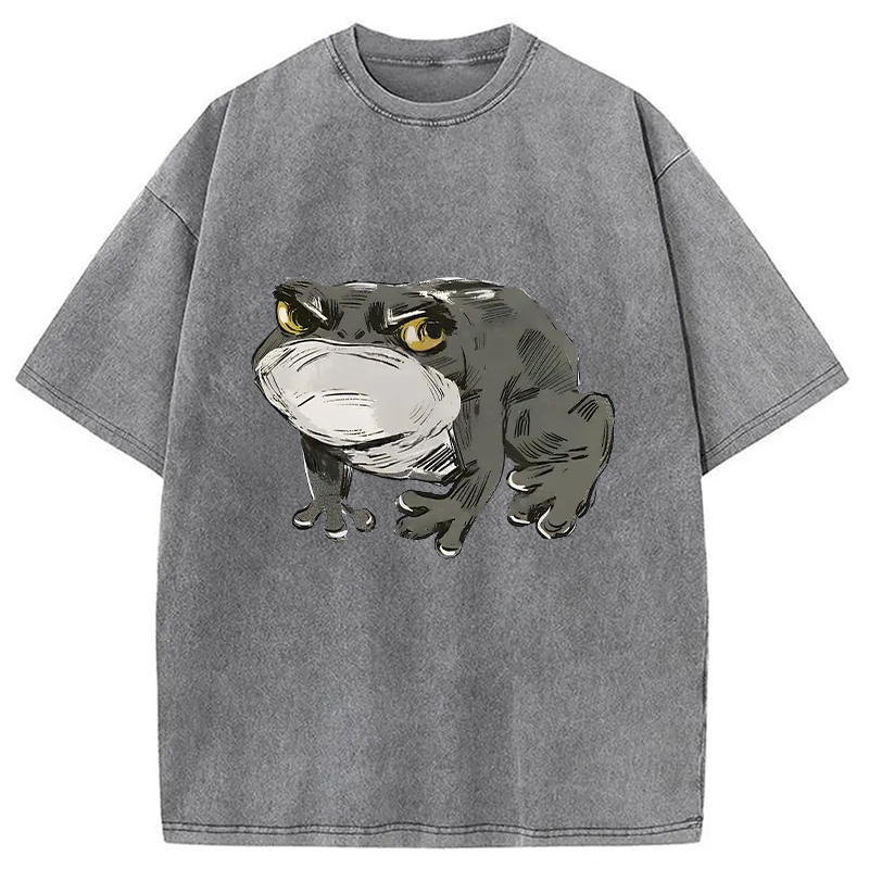 Modecanvas Japanese Frog Retro Washed T-Shirt