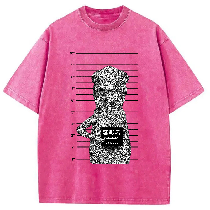 Modecanvas Suspect Lizard Washed T-Shirt