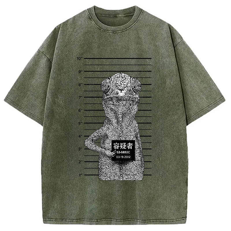 Modecanvas Suspect Lizard Washed T-Shirt