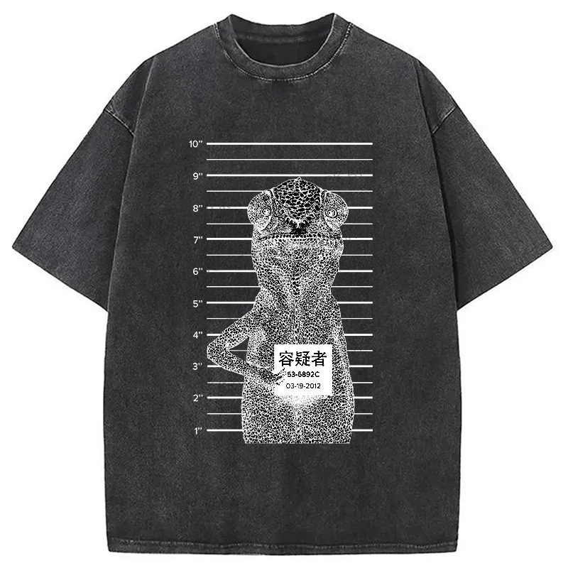Modecanvas Suspect Lizard Washed T-Shirt