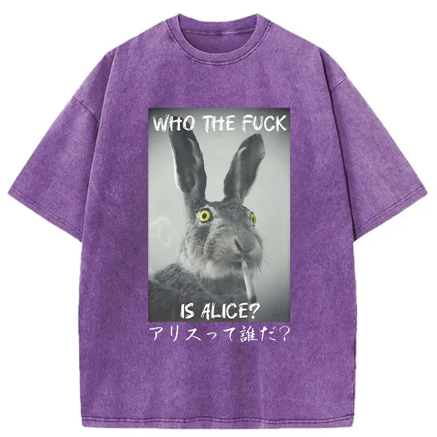 Modecanvas Who Is Alice? Washed T-Shirt