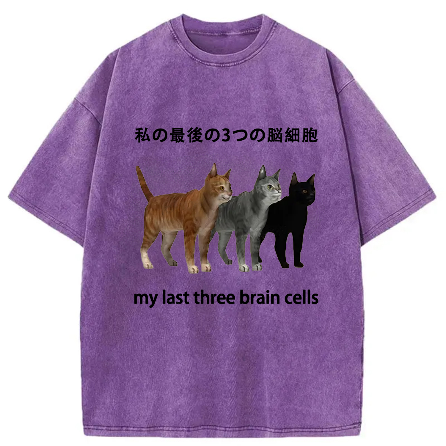 Modecanvas My Last Three Brain Cells Washed T-Shirt
