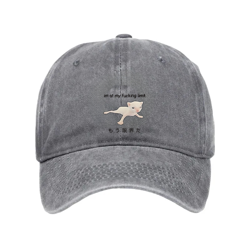 Modecanvas Cat Reaching Its Limit Washed Cap-modecanvas