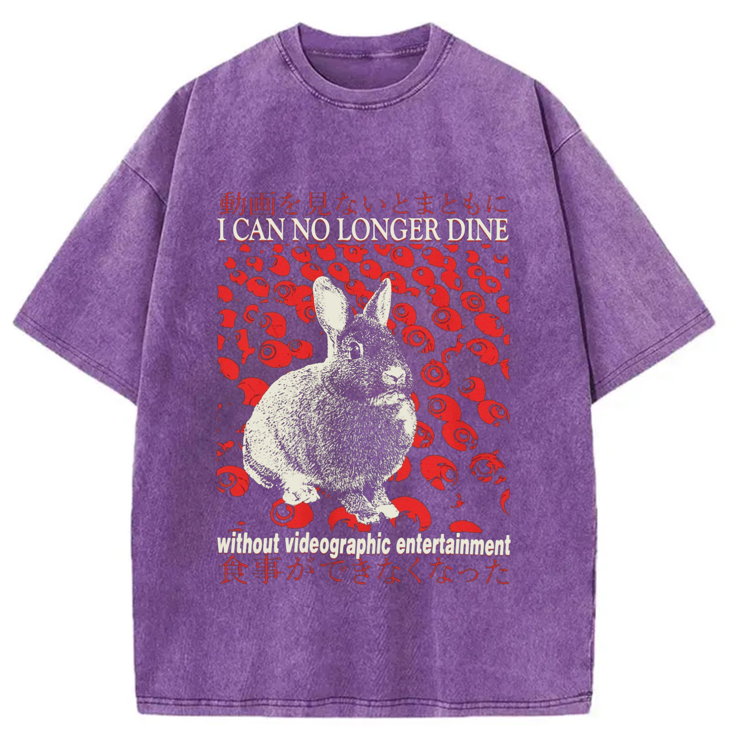 Modecanvas I Can No Longer Dine without Videographic Entertainment Washed T-Shirt-modecanvas