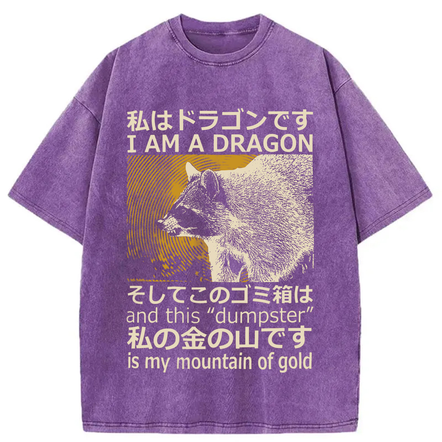 Modecanvas I Am A Dragon and this "Dumpster" is My Mountain of Gold Washed T-Shirt-modecanvas