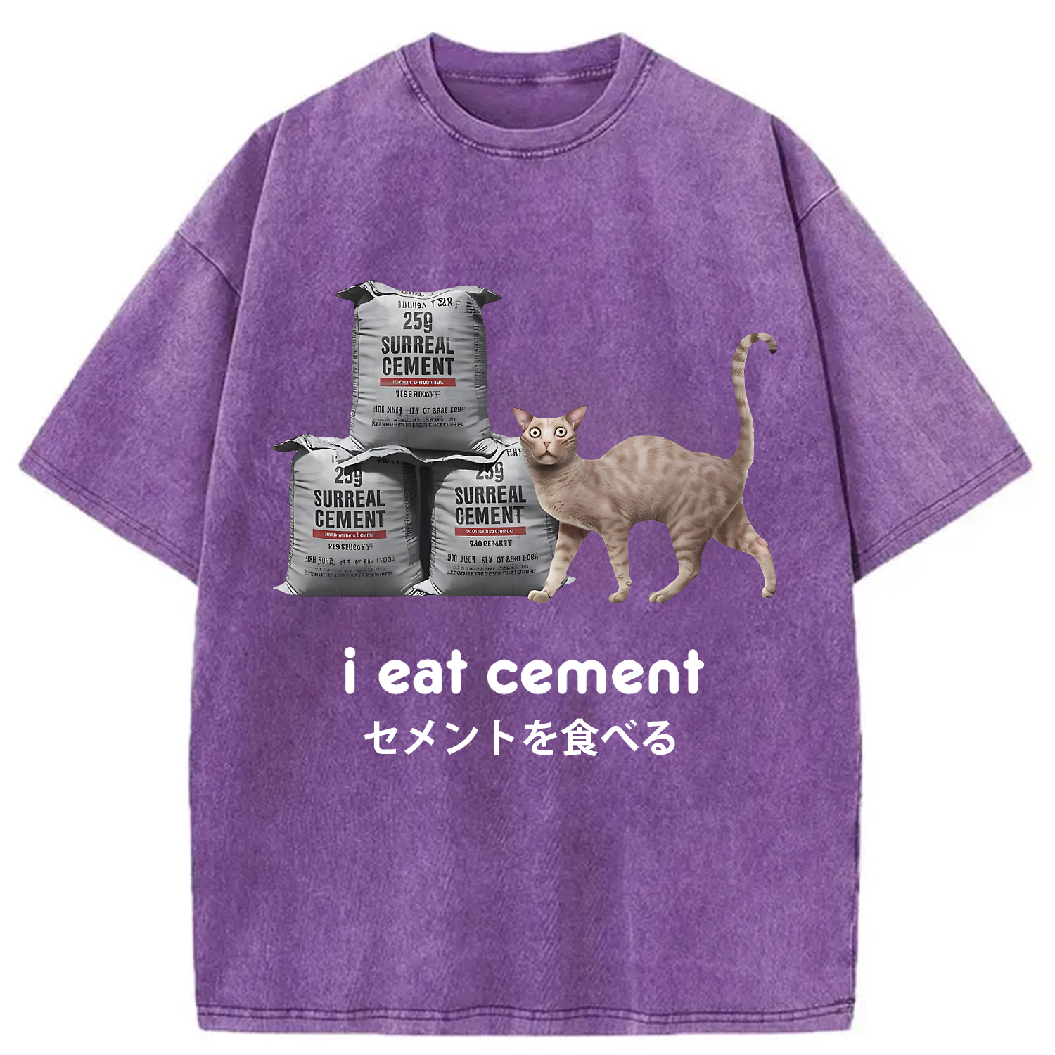 Modecanvas I Eat Cement Cursed Cat Washed T-Shirt