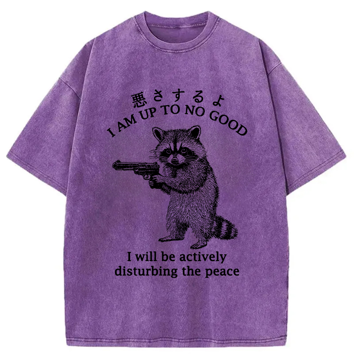 Modecanvas Raccoon Disturbing The Peace Washed T-Shirt