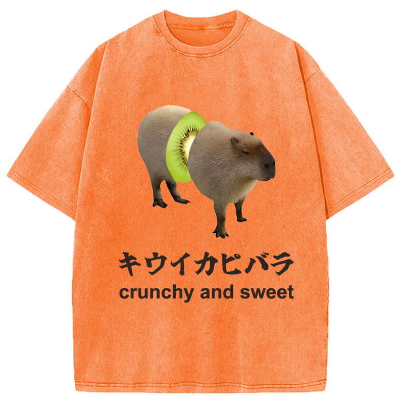 Modecanvas Kiwi Capybara Funny Meme Washed T-Shirt