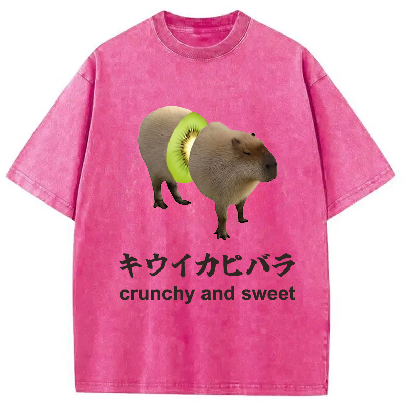 Modecanvas Kiwi Capybara Funny Meme Washed T-Shirt