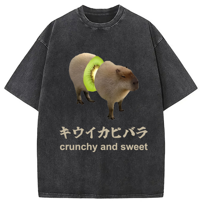 Modecanvas Kiwi Capybara Funny Meme Washed T-Shirt