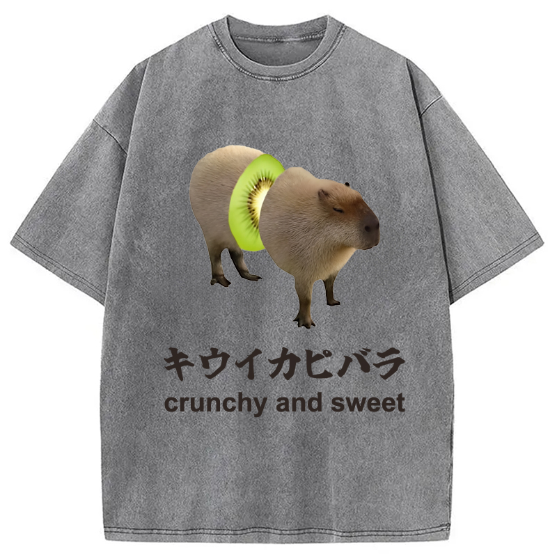 Modecanvas Kiwi Capybara Funny Meme Washed T-Shirt