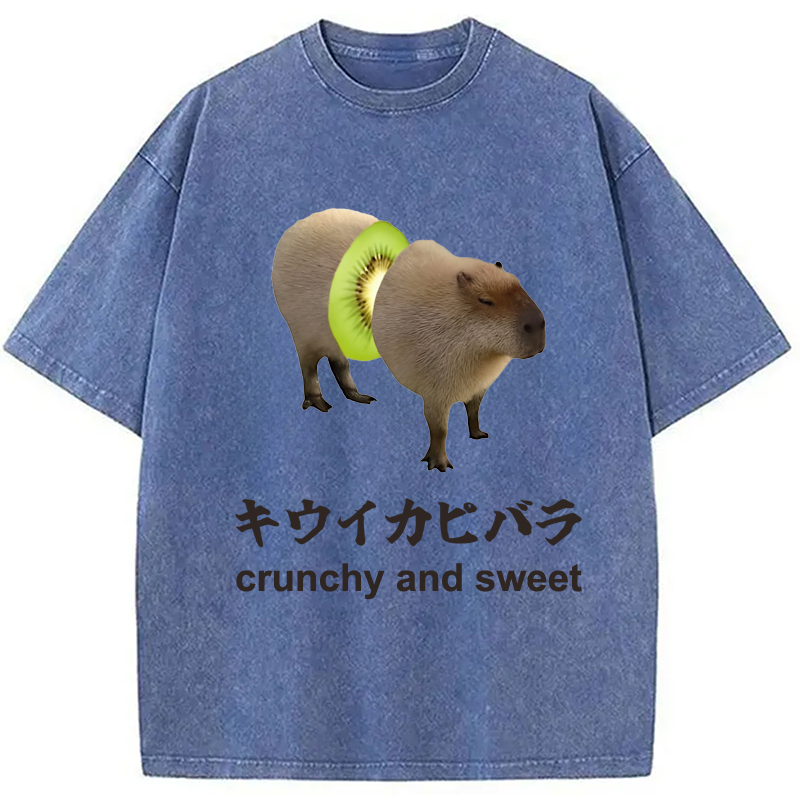 Modecanvas Kiwi Capybara Funny Meme Washed T-Shirt