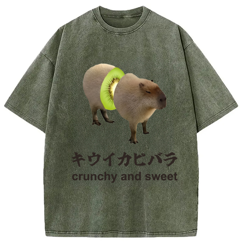 Modecanvas Kiwi Capybara Funny Meme Washed T-Shirt